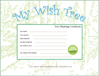 mini-Wish-Tree-certificate1